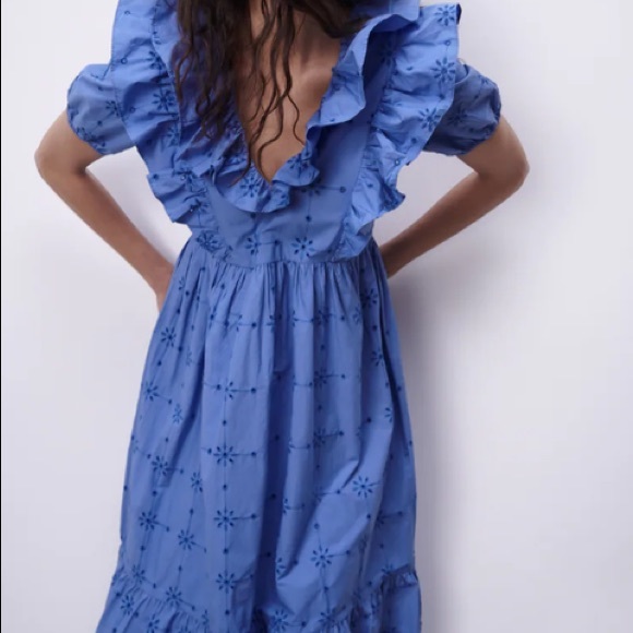 Zara Floral Embroidery Ruffle Dress Size Small - Picture 3 of 13